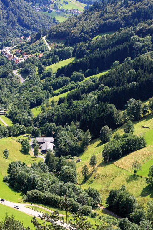 From Strasbourg: Black Forest and Baden Baden Day Trip - Highlights of the Black Forest and Baden Baden Tour