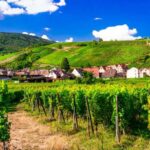 From Strasbourg: Half-Day Tour of Alsace Villages - The Charm of Barr and Its Vineyards