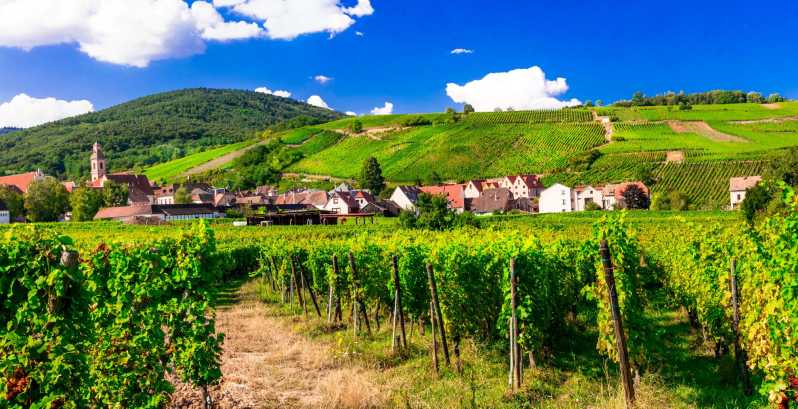 From Strasbourg: Half-Day Tour of Alsace Villages - The Charm of Barr and Its Vineyards