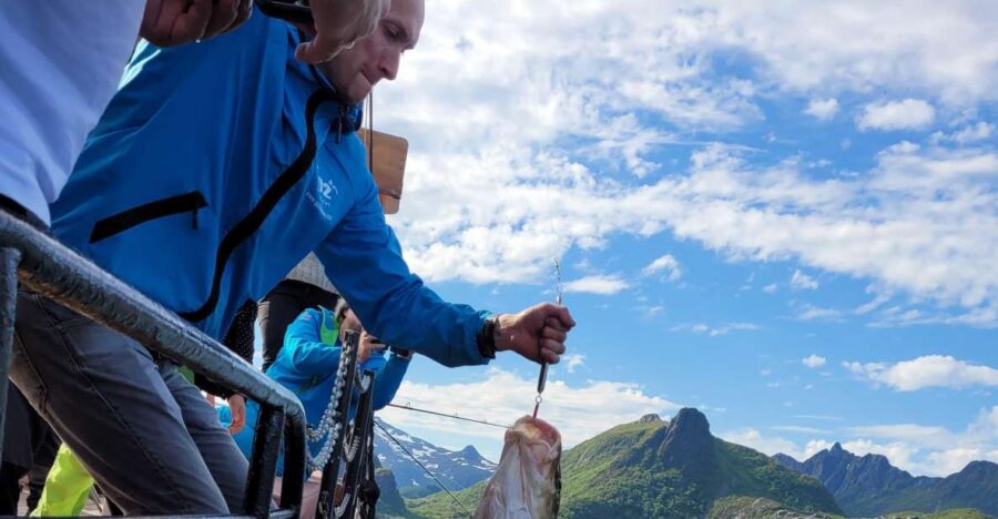 From Svolvaer: Lofoten Fishing Boat Cruise - The 4-Hour Fishing Adventure in Lofoten Waters