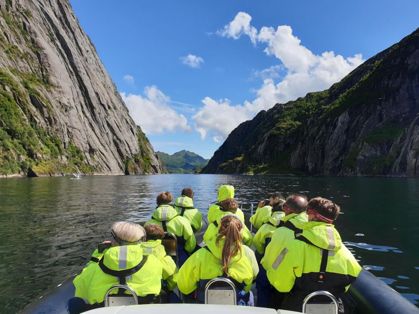 From Svolvaer: Trollfjorden Wildlife RIB Cruise - Navigating the Stunning Trollfjord