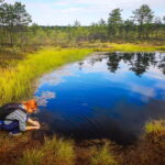 From Tallinn: Day Trip to Lahemaa National Park - Visiting Sagadi and Palmse Manor Houses