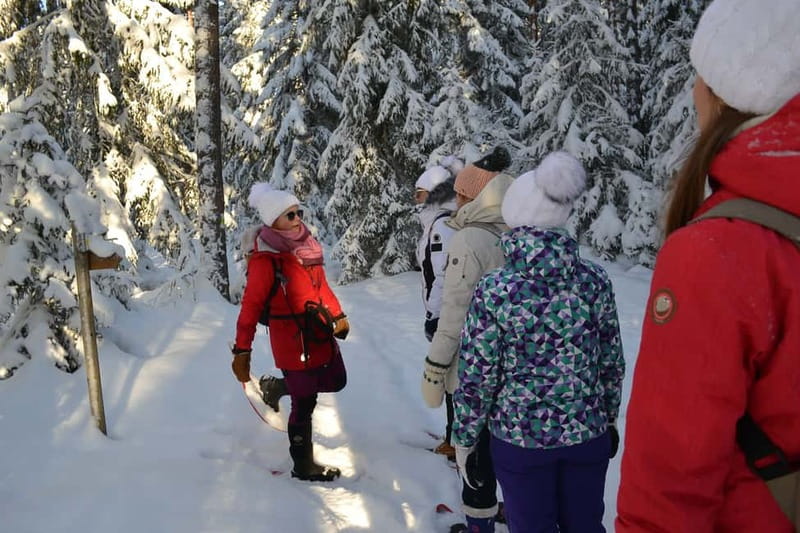 From Tallinn: Guided Bog-Shoe Hiking Tour - Exploring the Wetlands Beyond Tallinn