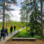 From Tallinn: Jägala Waterfall and Bog Walk Tour - Exploring Viru Bog on the Wooden Boardwalk