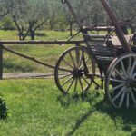 From Taormina: Castiglione di Sicilia & Wine Tasting - Strolling Through Castiglione di Sicilia’s Historic Streets
