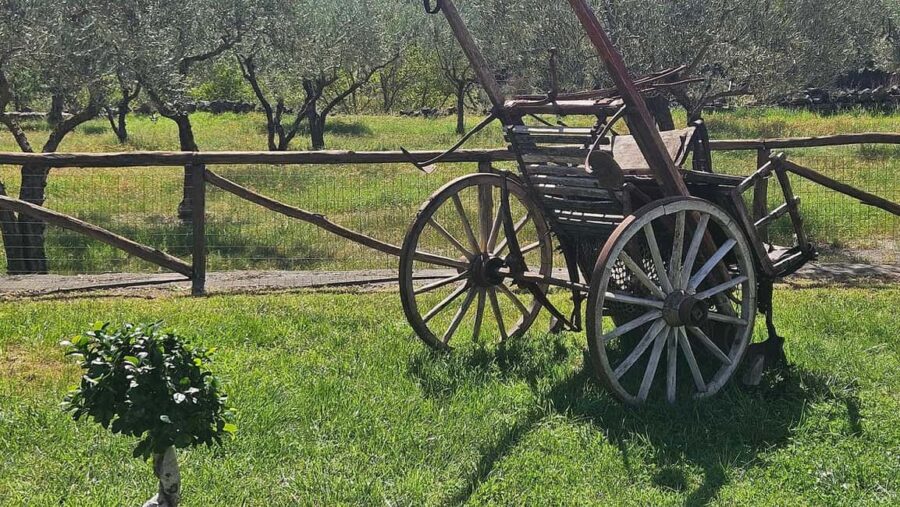 From Taormina: Castiglione di Sicilia & Wine Tasting - Strolling Through Castiglione di Sicilia’s Historic Streets