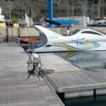 From Tazacorte: Discover the Northwest Coast by Speedy Yacht - Spotting Marine Life: Dolphins and More