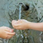 From Tbilisi: Borjomi National Park & Green Monastery Tour - Journey Through Borjomi-Kharagauli National Parks Vast Landscapes