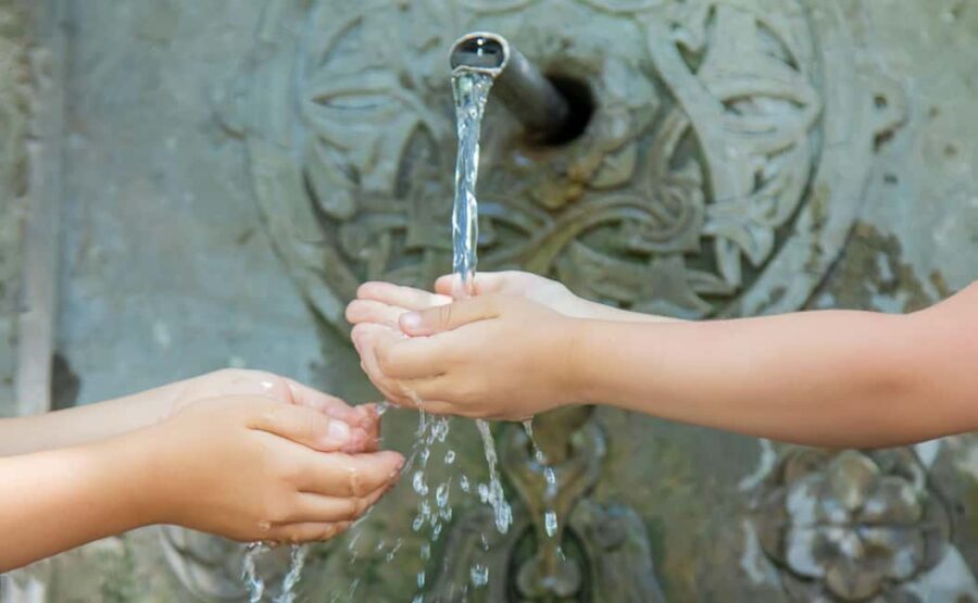 From Tbilisi: Borjomi National Park & Green Monastery Tour - Journey Through Borjomi-Kharagauli National Parks Vast Landscapes