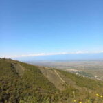 From Tbilisi: Kakheti Day Trip with Wine Tasting - Exploring Manavi: The Heart of Georgia’s Ancient Wine Methods