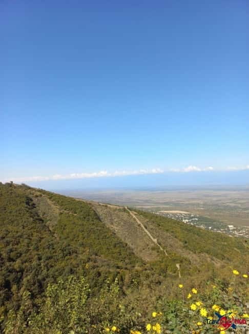 From Tbilisi: Kakheti Day Trip with Wine Tasting - Exploring Manavi: The Heart of Georgia’s Ancient Wine Methods