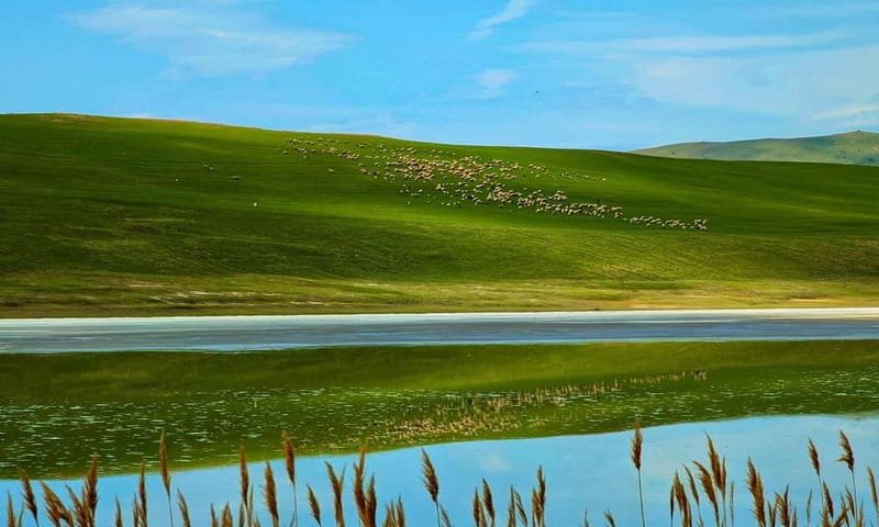 From Tbilisi: Rainbow Mountain & David Gareja Monastery Trip - Visiting the Georgian Sahara and Salt Lake