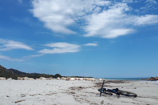 From the hills to Oasi Biderosa & Capo Comino with Electric Mountain Bikes - Bérchida Beach and Flamingo Lagoons