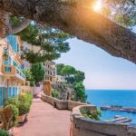 From the ports of The French Riviera Private Shore Excursion - Discover Monaco’s Glamorous Landmarks in an Hour