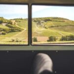 From the vines to the Champagne glass with a vintage car - Exploring the Champagne Region’s History and Vineyard Work