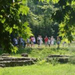 From Thessaloniki: Day Trip to Dion and Mount Olympus Park - A Scenic Lunch with Mountain Views at Stavros Refuge