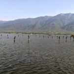 From Thessaloniki: Lake Kerkini, Boat Ride & Winery Day Tour - Discovering Lake Kerkini’s Wetlands on a Guided Boat Cruise