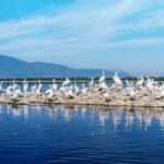 From Thessaloniki: Private Day Trip to Kerkini Lake - How the Tour Starts and Ends