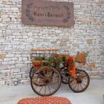 From Tirana: Berat Exploring Tour, Belshi Lake & Agrotourism - Sampling Traditional Albanian Foods at a Local Agritourism Farm