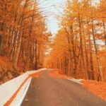 From Tirana / Durrës: Qafë-Shtamë, Sarisalltik & Krujë Tour - Who Will Appreciate This Tour Most