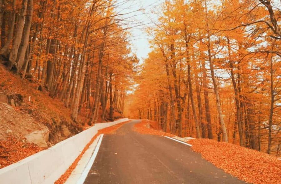 From Tirana / Durrës: Qafë-Shtamë, Sarisalltik & Krujë Tour - Who Will Appreciate This Tour Most