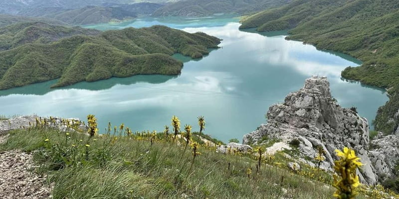 From Tirana : Lake Bovilla and Gamti Mountain Day Trip - Pickup and Transportation from Tirana to Bovilla Lake