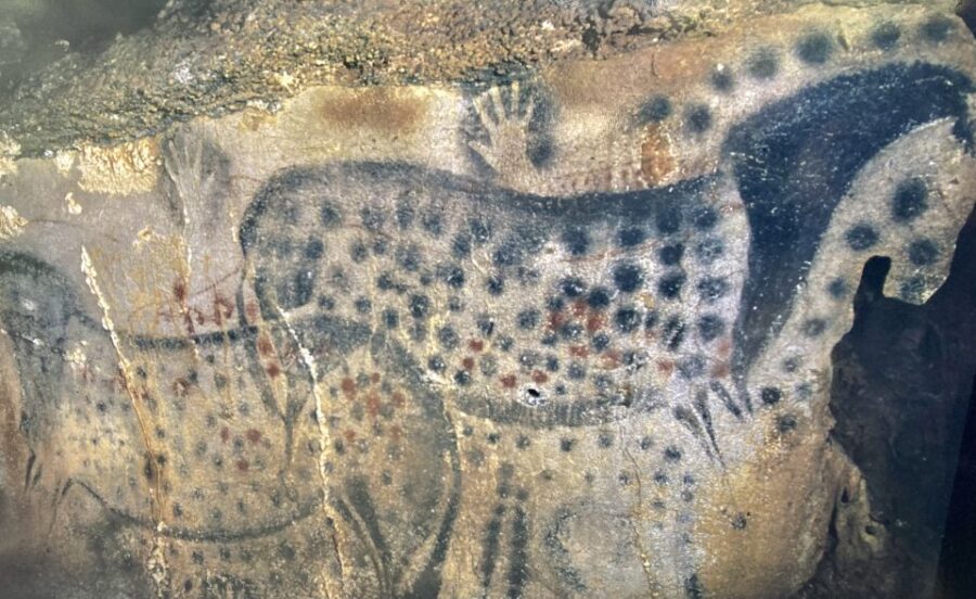 From Toulouse: Peche Merle and Saint Cirq LaPopie Day Trip - Departure and Transportation Details from Toulouse