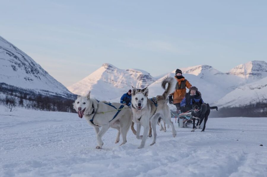 From Tromsø: Advanced Dog Sledding Tour at Camp Tamok - The Sledding Adventure: Guiding and Riding