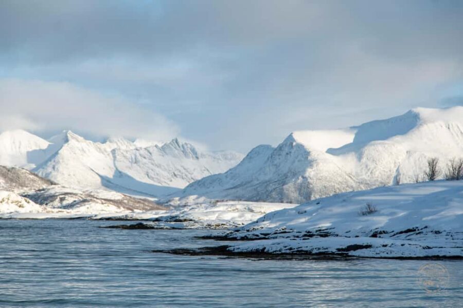 From Tromsø: Arctic Roadtrip Small Group 4x4 Van - Scenic Stops and Natural Highlights