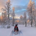 From Tromso: Eco Luxury Snowmobile Adventure to Lyngen Alps - Electric Snowmobiles and Environmental Benefits