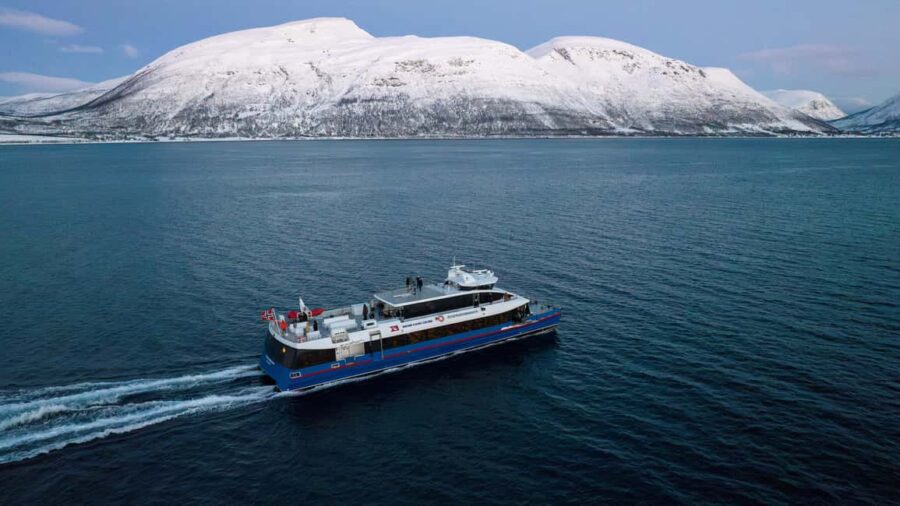 From Tromsø: Whale Watching Safari on High-Speed Catamaran - Meeting Point and Logistics in Tromsø