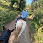From Tropea: Horseback Riding Tour with Picnic in Francica - Practical Details and Tips for Participants