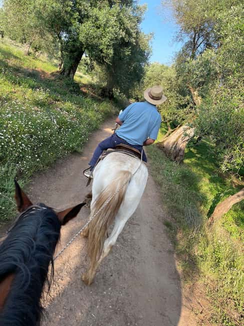From Tropea: Horseback Riding Tour with Picnic in Francica - Practical Details and Tips for Participants