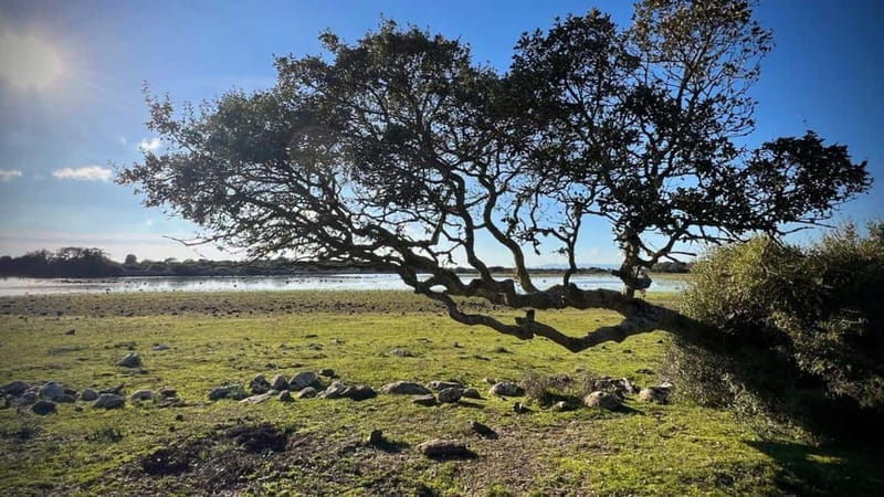 From Tuili: trekking in the Giara Park - Starting Point and Parking Near Tuili