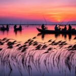 From Valencia: Albufera Natural Park with Sunset Boat Tour - The Scenic Sunset Boat Ride Across Albufera