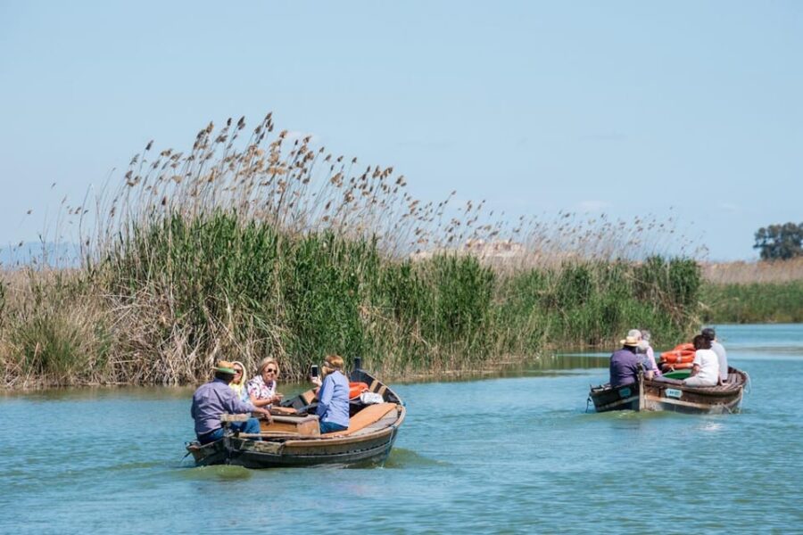 From Valencia: Albufera Private Tour, Paella & Boat Ride - How the Tour Starts and Ends in Valencia