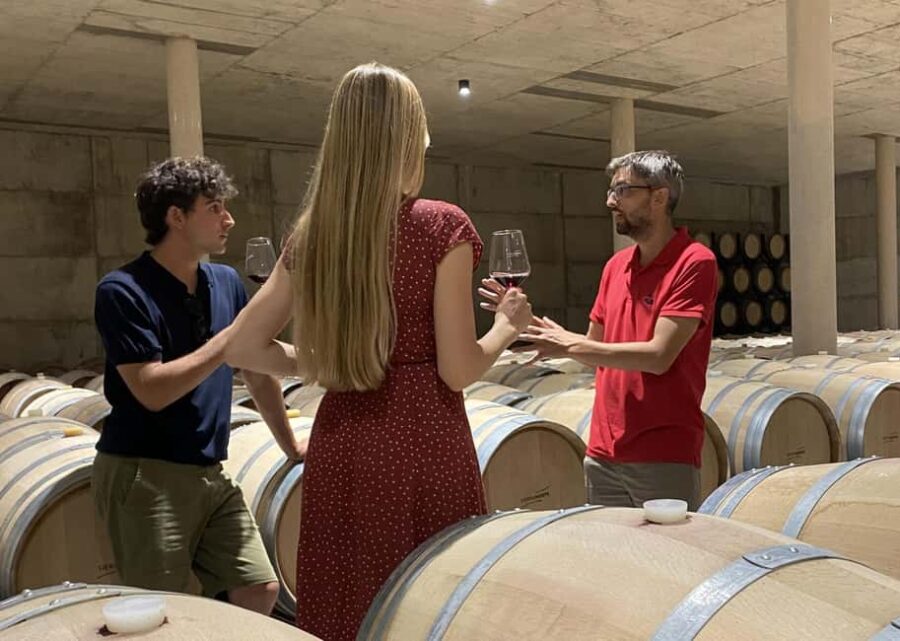 From Valencia: Requena Wine Tour with Tastings - Pickup from Valencia and Transportation Details