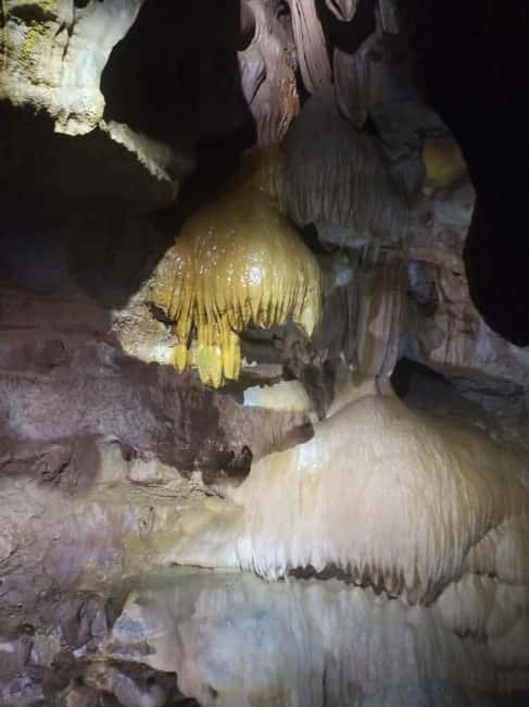 From Valencia: San José Caves Guided Tour with Transport - How the Tour Starts and Ends at the Meeting Point in Valencia