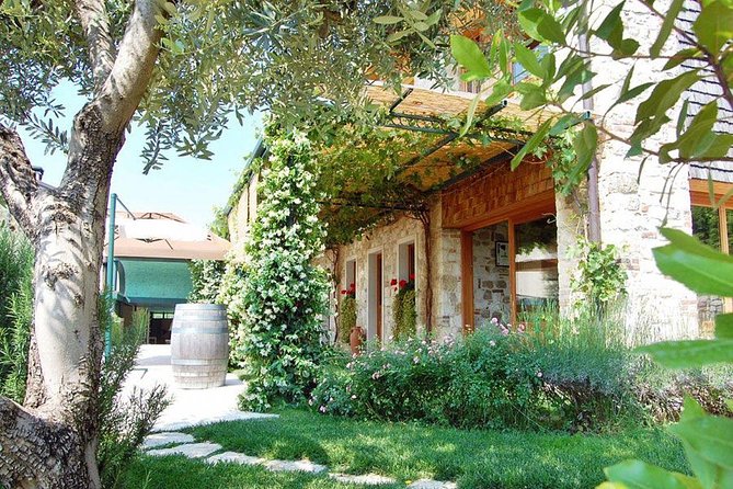 From Venice : Wine and Food tour in the Prosecco Hills - Boutique Vineyards and Family-Run Wineries in Prosecco Country