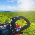 From Viareggio to Barcelona: Mediterranean Bike Adventure - Crossing into France: The Glamorous French Riviera