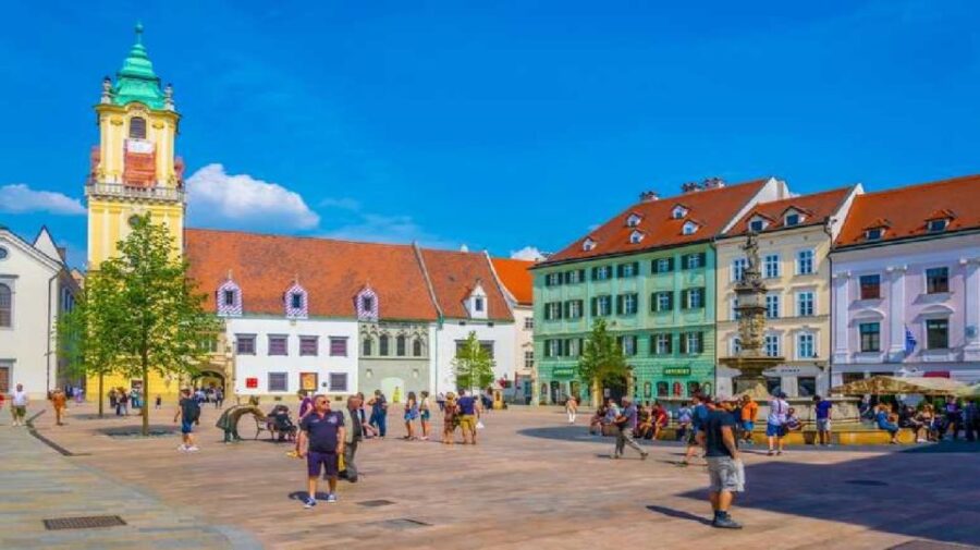 From Vienna: Private Day Tour of Devin Castle & Bratislava - Pick-up in Vienna and Private Transportation