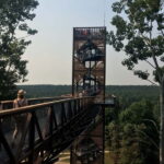 From Vilnius: Anykiai & The Hill of Crosses Day Trip - Detailed journey through the Lithuanian countryside