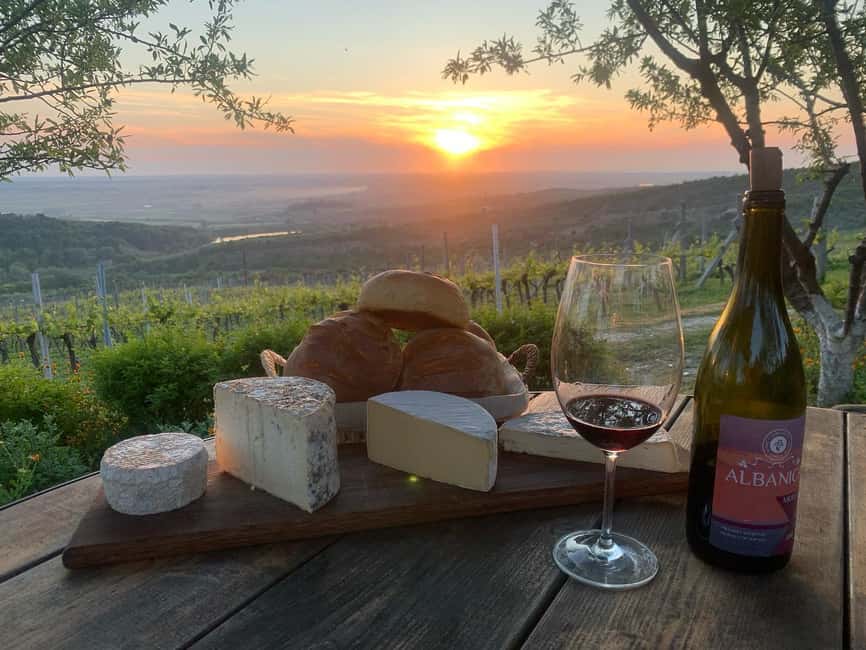 From Vlora: Zvernec, Apollonia & Wine Tasting Day Tour - Exploring the Ancient Ruins of Apollonia Archaeological Park