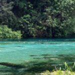 From Vlora:Tepelene Springs, Gjirokaster & Blue Eye Day Tour - Tepelene Springs: A Refreshing Scenic Break