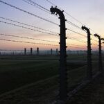 From Warsaw Auschwitz and Krakow one day tour by train with pick up and drop off - Traveling by Train: Comfort and Convenience