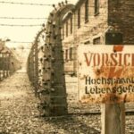 From Warsaw: Auschwitz-Birkenau Small Group Tour with Lunch - How the Tour Begins in Warsaw and the Pickup Process