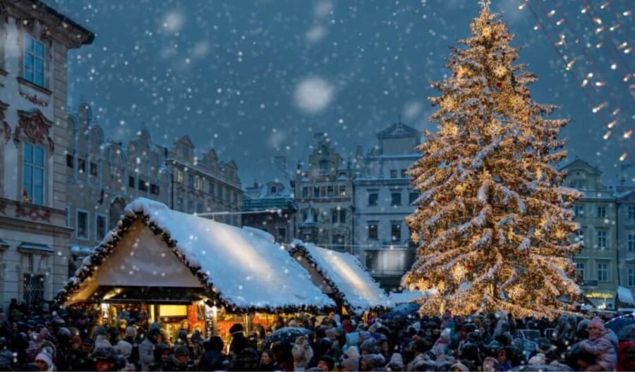 From Wrocaw: Exclusive Private Prague Day Trip - Pickup and Travel Comfort from Wrocaw