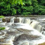 From York: The Yorkshire Dales Small-Group Day Tour - Meeting at York’s Leeman Road Coach Stop