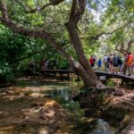 From Zadar: Krka National Park and Waterfalls Day Trip - Exploring the Waterfalls of Krka River