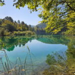 From Zadar: Scenic Private Tour of Plitvice Lakes - Exploring Plitvice Lakes National Park with a Local Guide